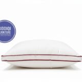 ইউরোপিয়ান টাইপ প্রিমিয়াম মাইক্রোপলি পিলো